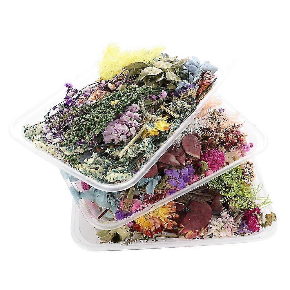 2025 Aromatherapy Dried Flowers for Candle and Resin Crafting