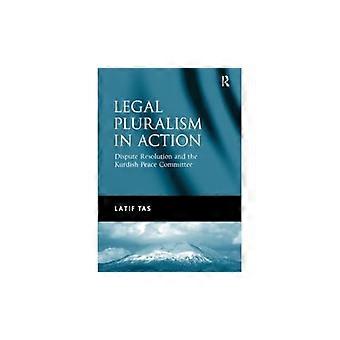 Rättslig pluralism i praktiken: Tvistlösning och den kurdiska fredskommittén