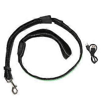 USB Rechargeable LED Dog Leash with Adjustable Light Modes, Reflective Safety Lead for Night Walking, Small Medium Dogs