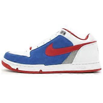 Nike Zoom Air Angus SB Demping, slijtvaste lage skateboard schoenen voor heren, model 307247-161