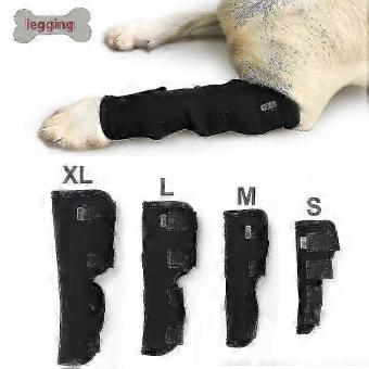 Canine Hock Wrap Compression Sleeve