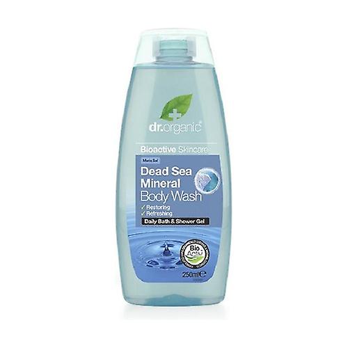 Organic Dead Sea Salt Body Detergent 250 ml