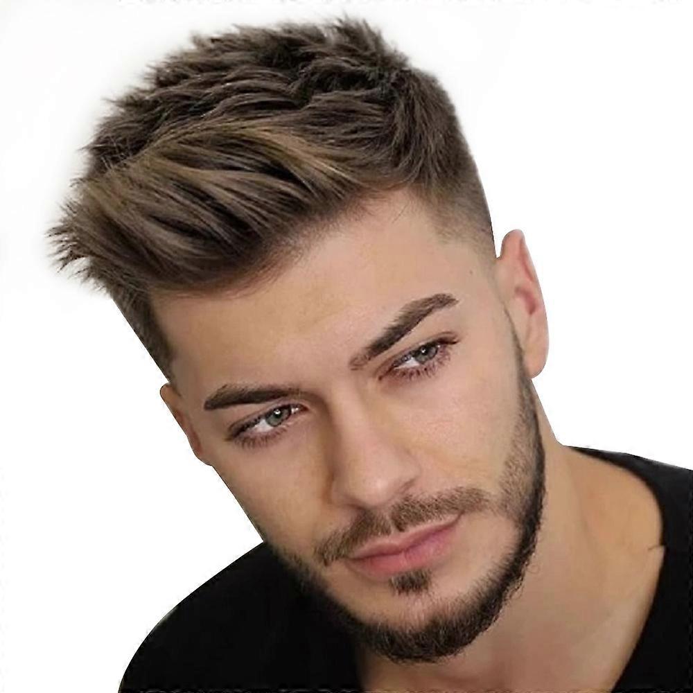 Men Short Straight Hair Wig Handsome Male Daily Full Wigs