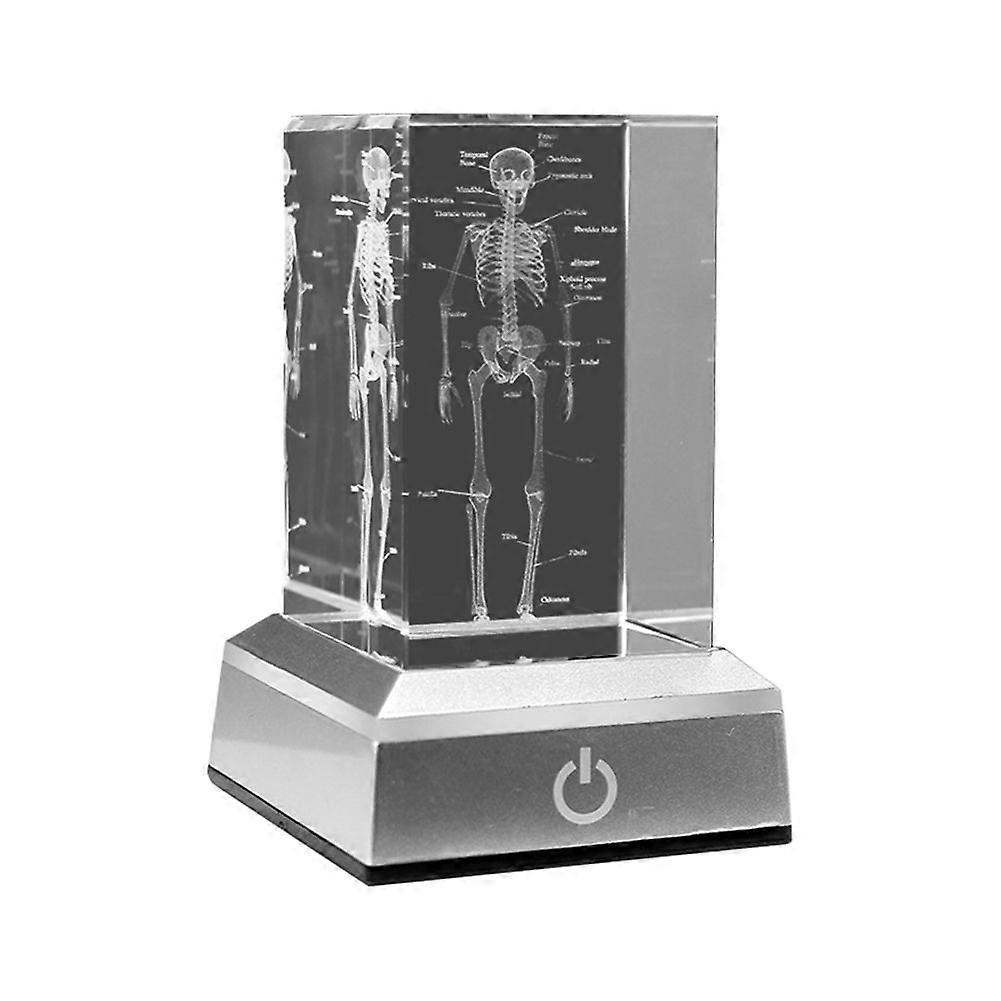 3D Laser Engraved Human Skeletal Crystal Cube Figurines, Medical Science Gifts, Organ Anatomical Mo