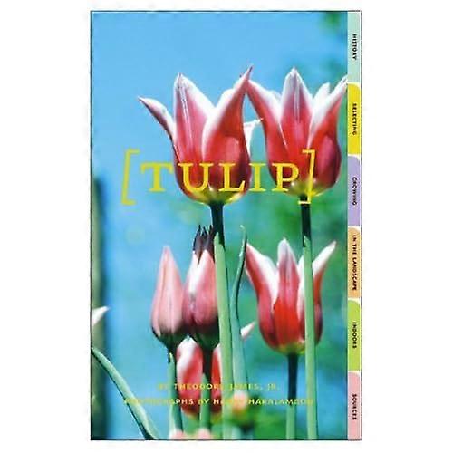 Tulip