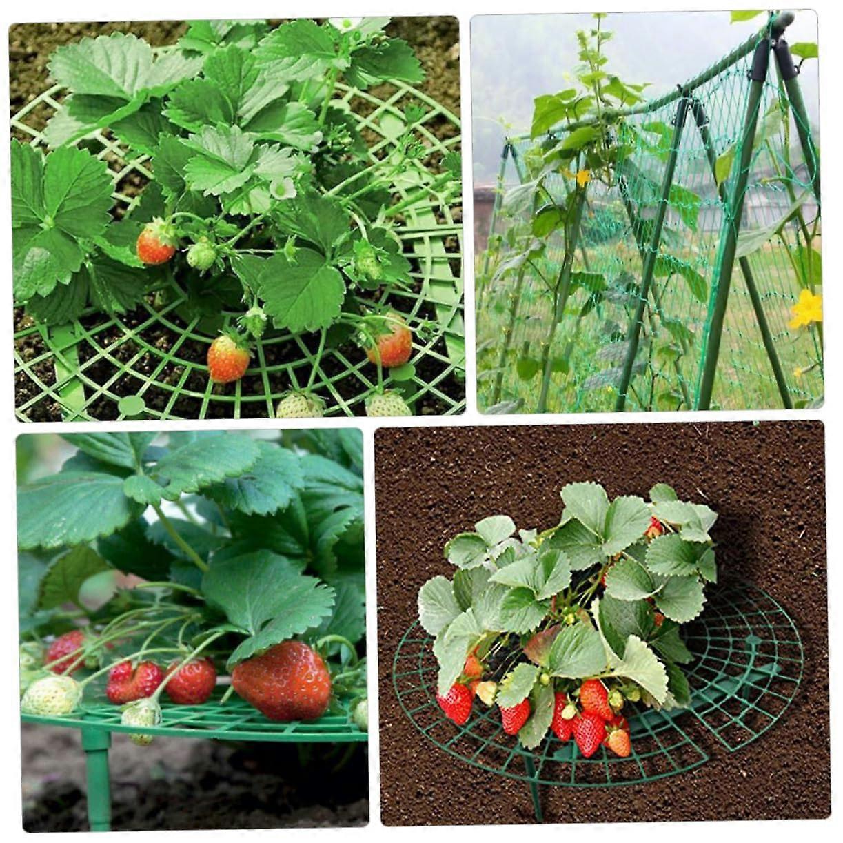 Rattan Climbing Net Plants Climbing Supports Trellis Strawberry Plants Stand Support Plastic Strawberry Growth Stake Pack of 6