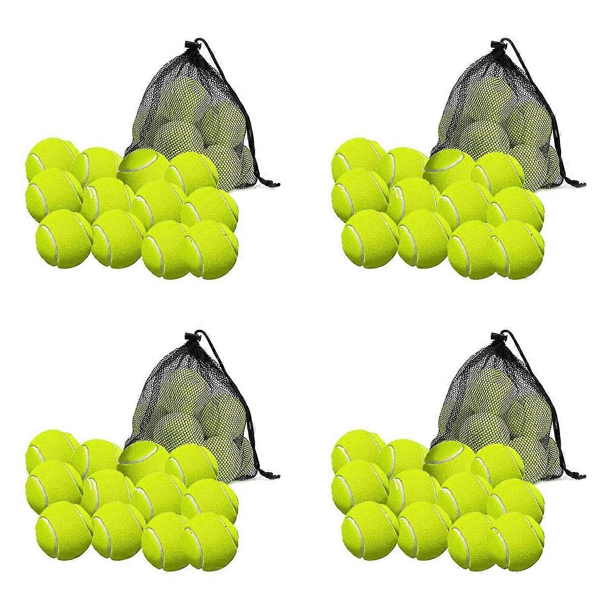 12 Pack Tennis Balls with Storage Bag - for Tennis, and Cricket