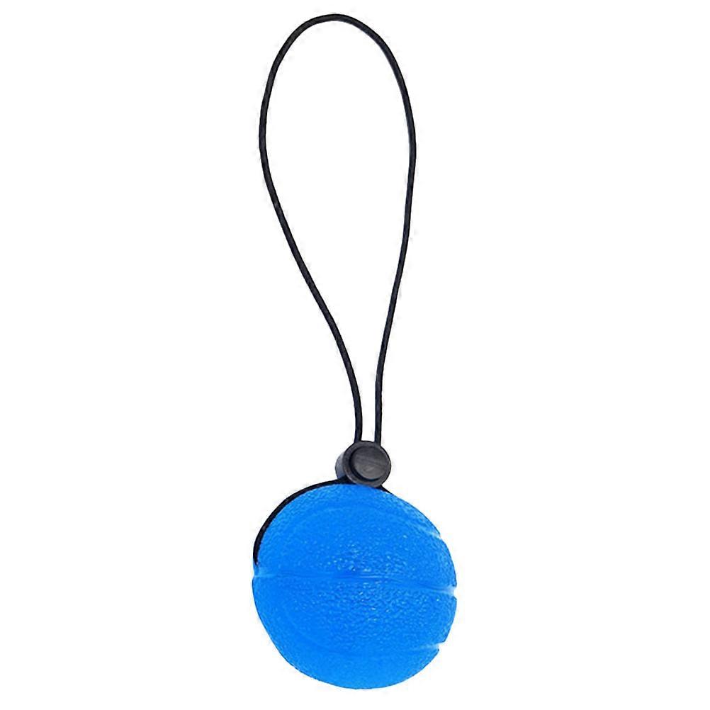 Wrist Exercise Ball Hand Exercise Ball Blue 1Set