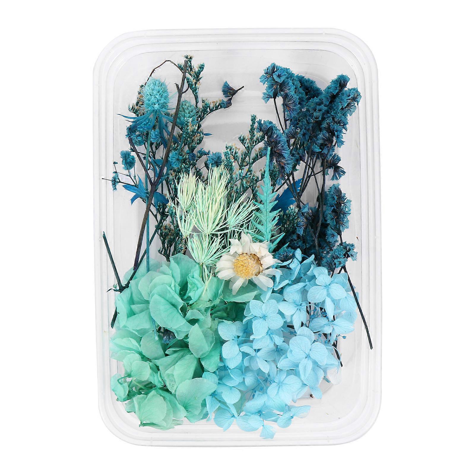 Flower Making Kit Dried Pressed Flower Craft Educational Use Assorted Shapes 9x3x0.5cm Flower Arrangement 1 Set