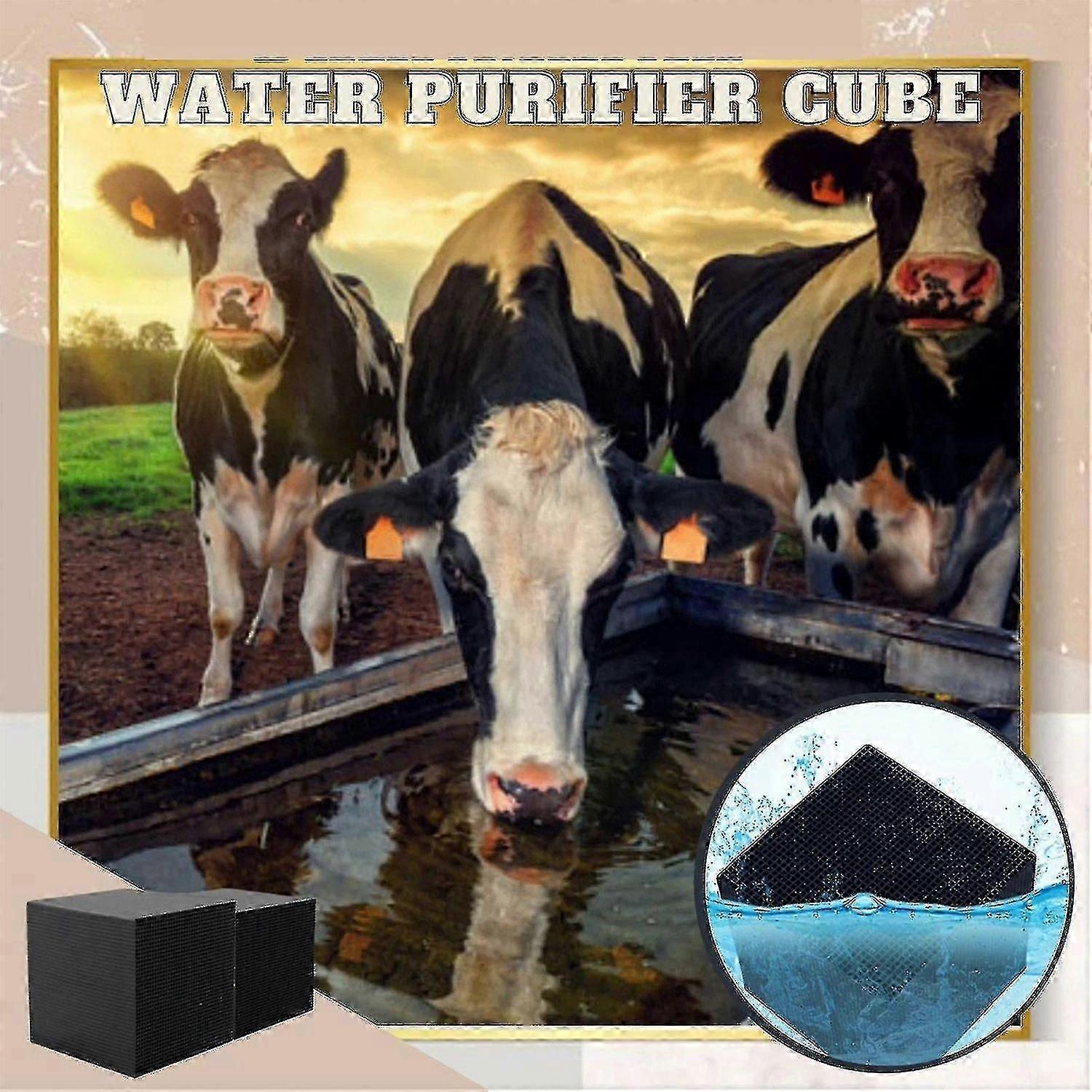 Water Purifier Cubes Activate Carbon High-efficiency Water Purification Filter