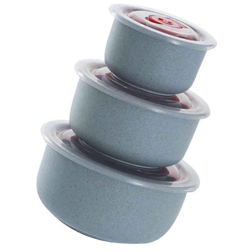 Food Storage Container Lunch Bowl for Kitchen 3Pcs Straw Box Blue