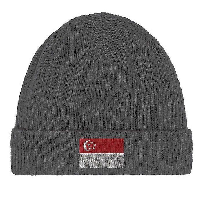 Singapore Flag Cap in Grey