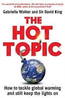Hot Topic by David King Paperback