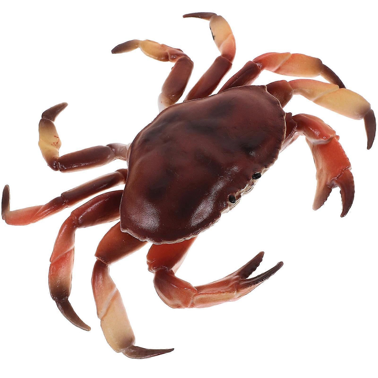 Realistic Simulation Crab Model Educational Plastic Artificial Animal Model 2pcs