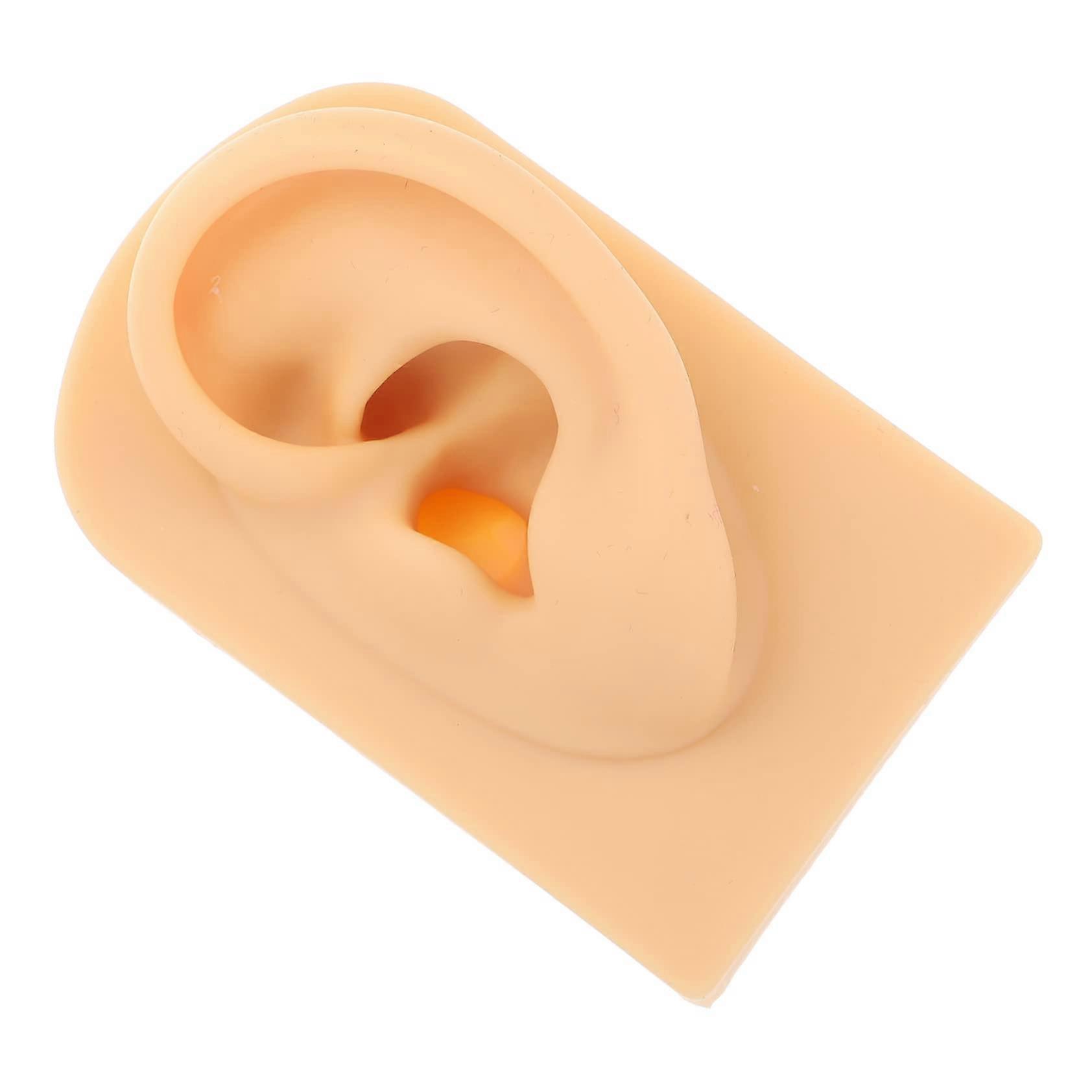 Silicone Ear Model with Realistic Texture for Piercing Practice and Jewelry Display