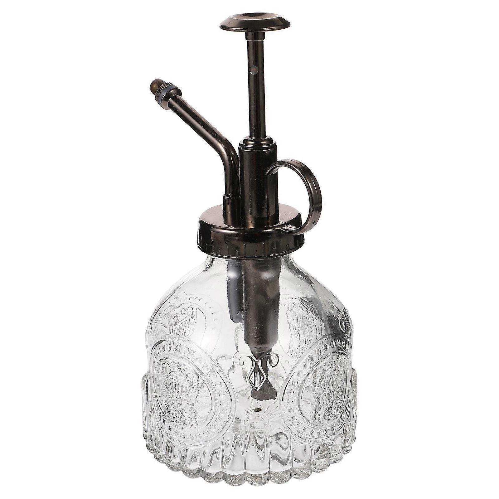 Glass Watering Bottle for Small Plants Transparent Elegant