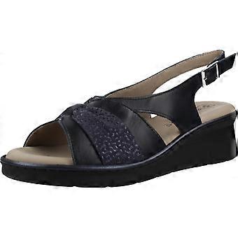 Pitillos Komfortschuhe 11013p