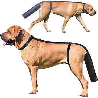 2 Pieces Dog Tail Protector Cover for Wounds, Dogs Tails Heal Sleeve, Dog Wound Care for Medium and Large Dogs to Assist in Recovery from Injury, Tai