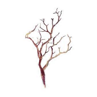 Simulation Coral Branch, 1 Piece, Artificial Reef Decor