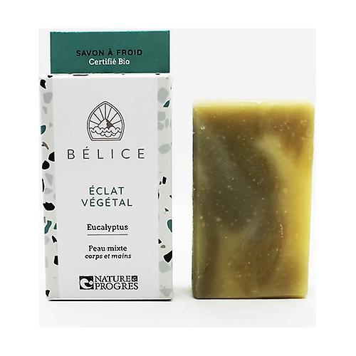 Organic SAF solid soap - Plant glow 1 bar