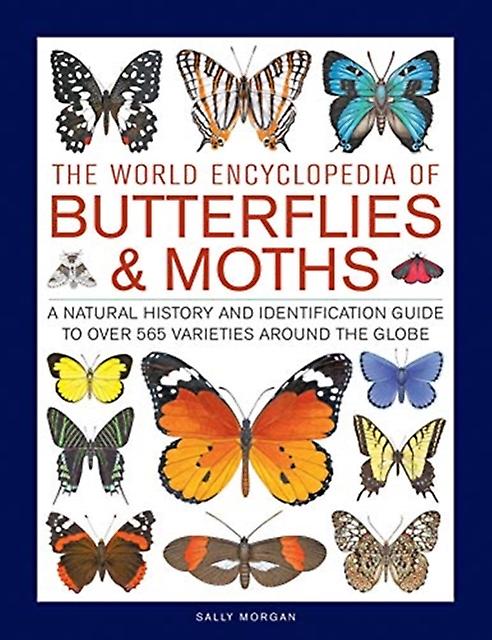 Butterflies Moths The World Encyclopedia Of by Sally Morgan Hardback Book