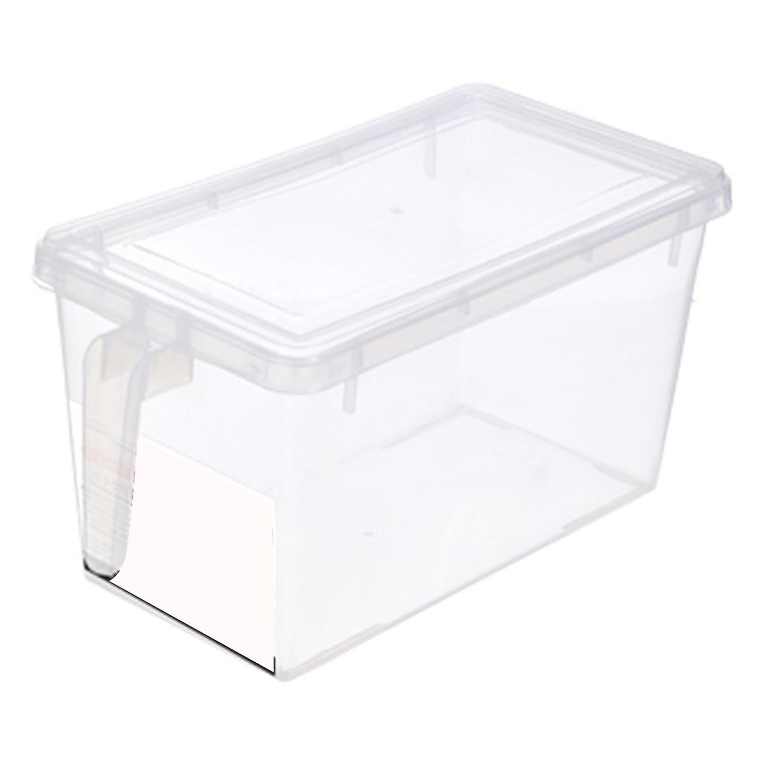 Rectangular Food Storage Container with Handle PP Refrigerator Fruit Storage Box for Home