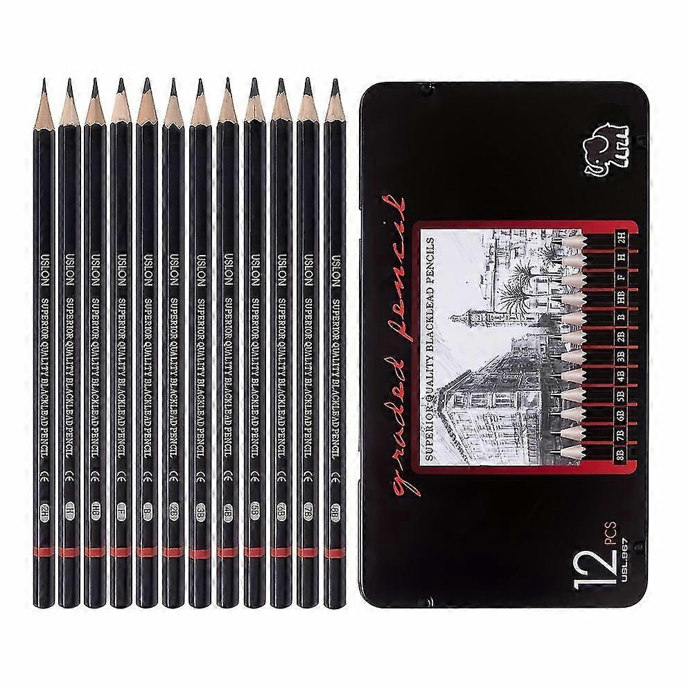 12pcs Professional Drawing Sketching Pencil Set For Artists