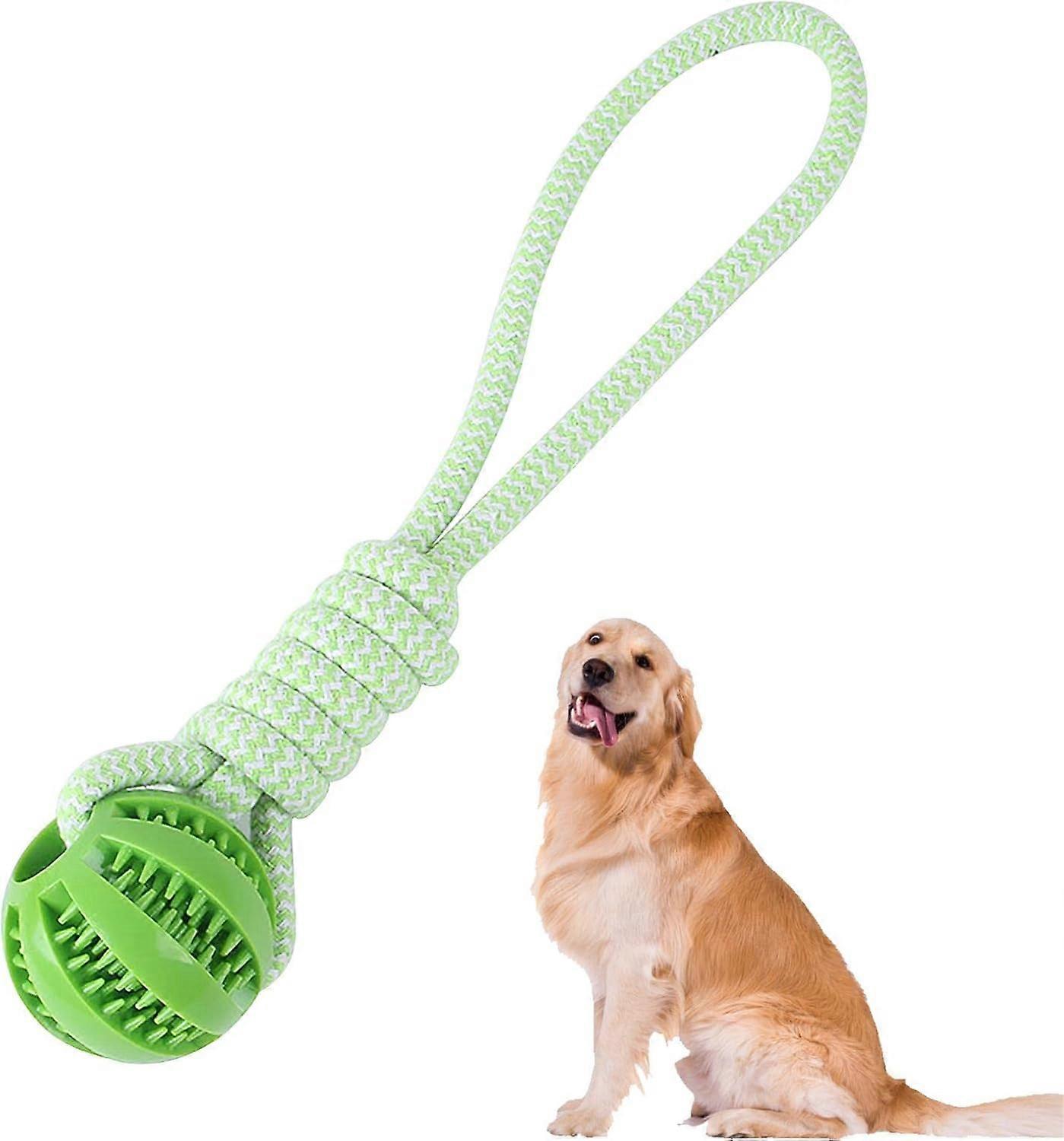 Dog ball with rope, interactive dog toy, green 5CM
