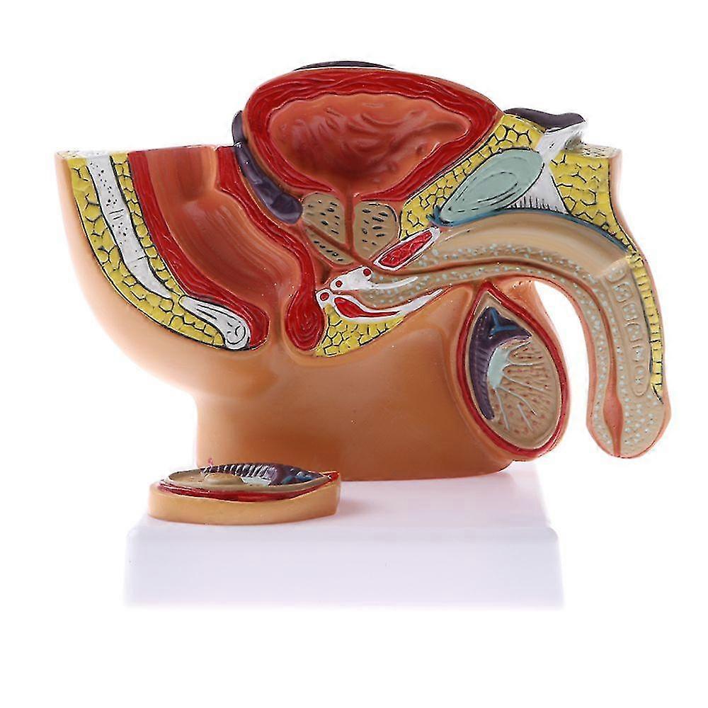 Pvc Male Basin Statue