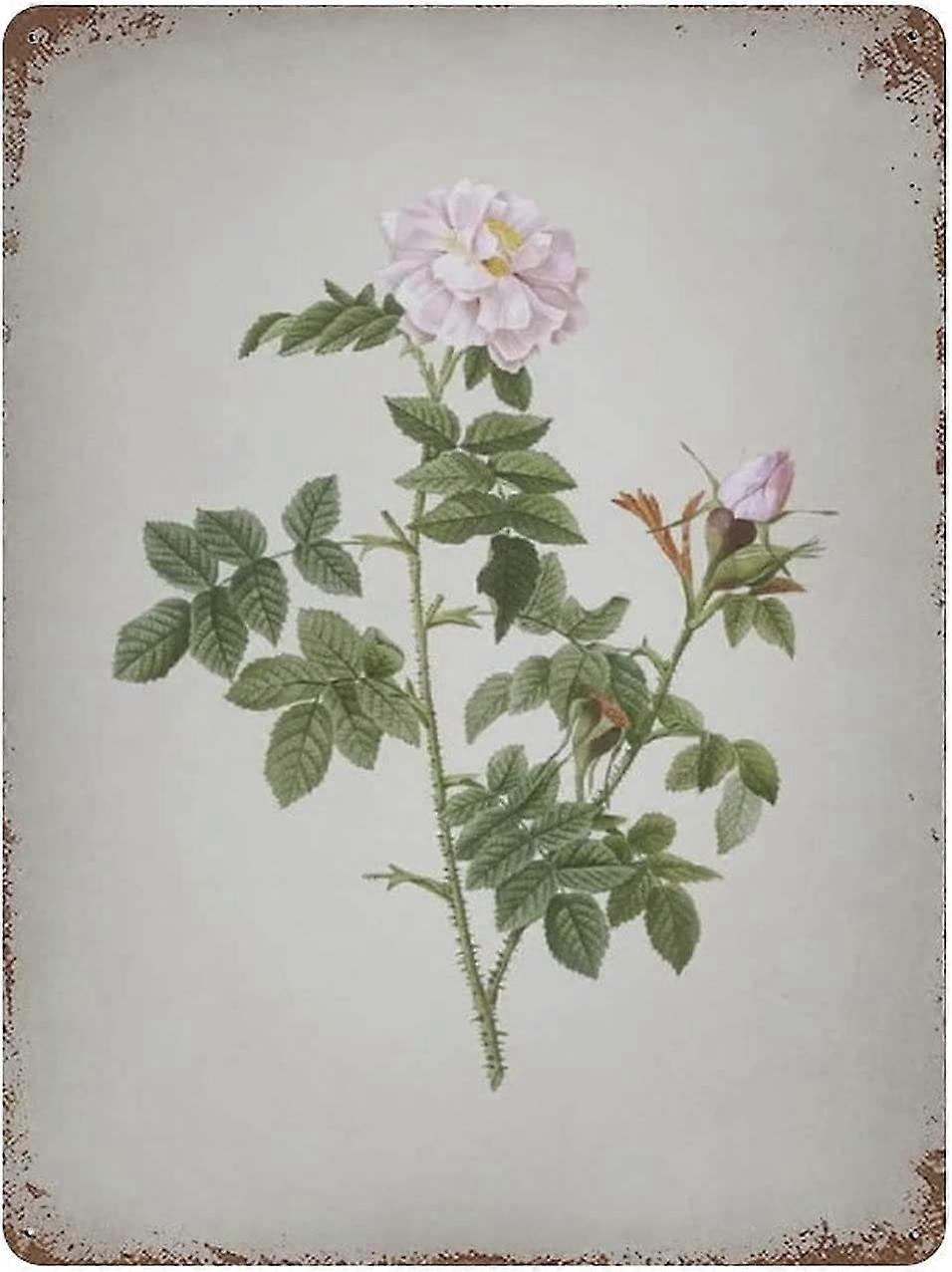 معدن القصدير تسجيل تزهر بروفينز روز خمر الفن ملصق الرجعية الحديد اللوحة الجدار ديكور الفن هدية في الهواء الطلق مقهى بار المرآب مزرعة الديكور 16 "x12"