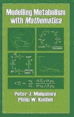 Modelling Metabolism with Mathematica