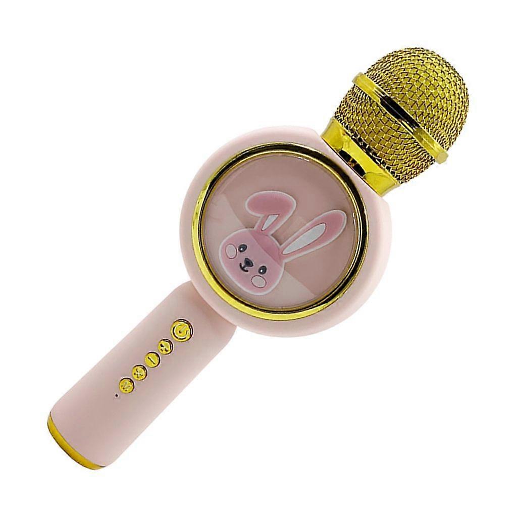 Karaoke Microphones Handheld Wireless Microphones Rechargeable Wireless