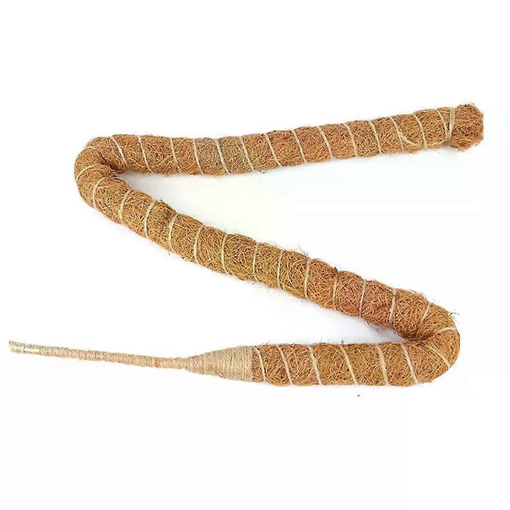 Plant Climbing Good Air Permeability Strict Selection Of Materials The Use Of Coconut Fiber Exquisite Process Layer Selection