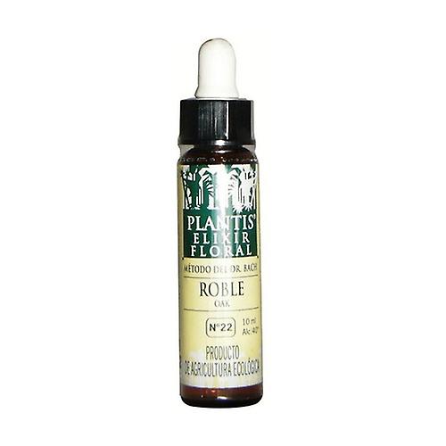 Oak No. 22 Eco 10 ml of floral elixir