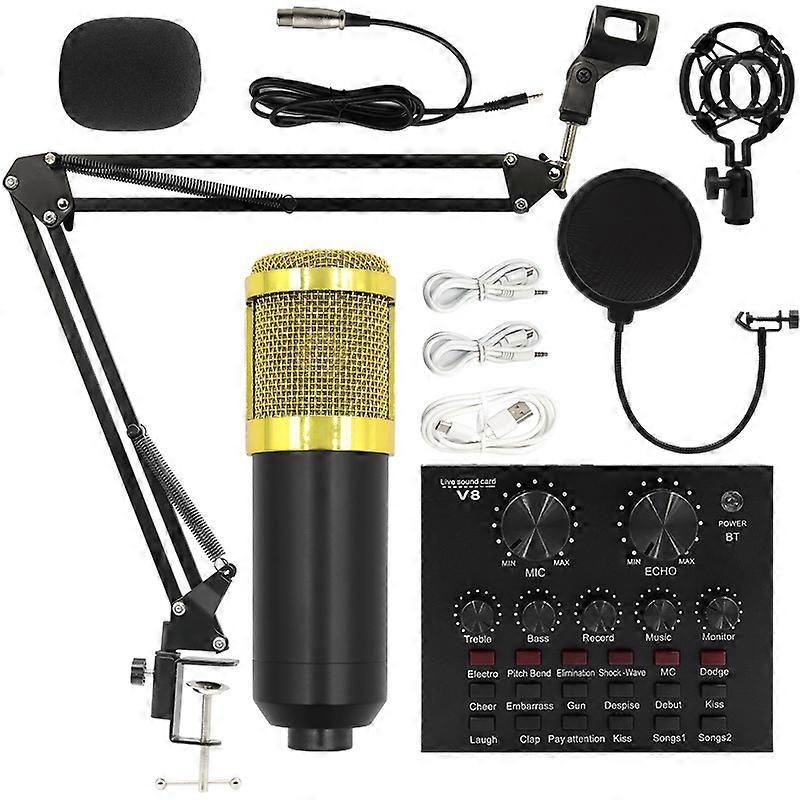 BM800 Condenser Microphone Set with V8 Sound Card for Professional Live Broadcasts