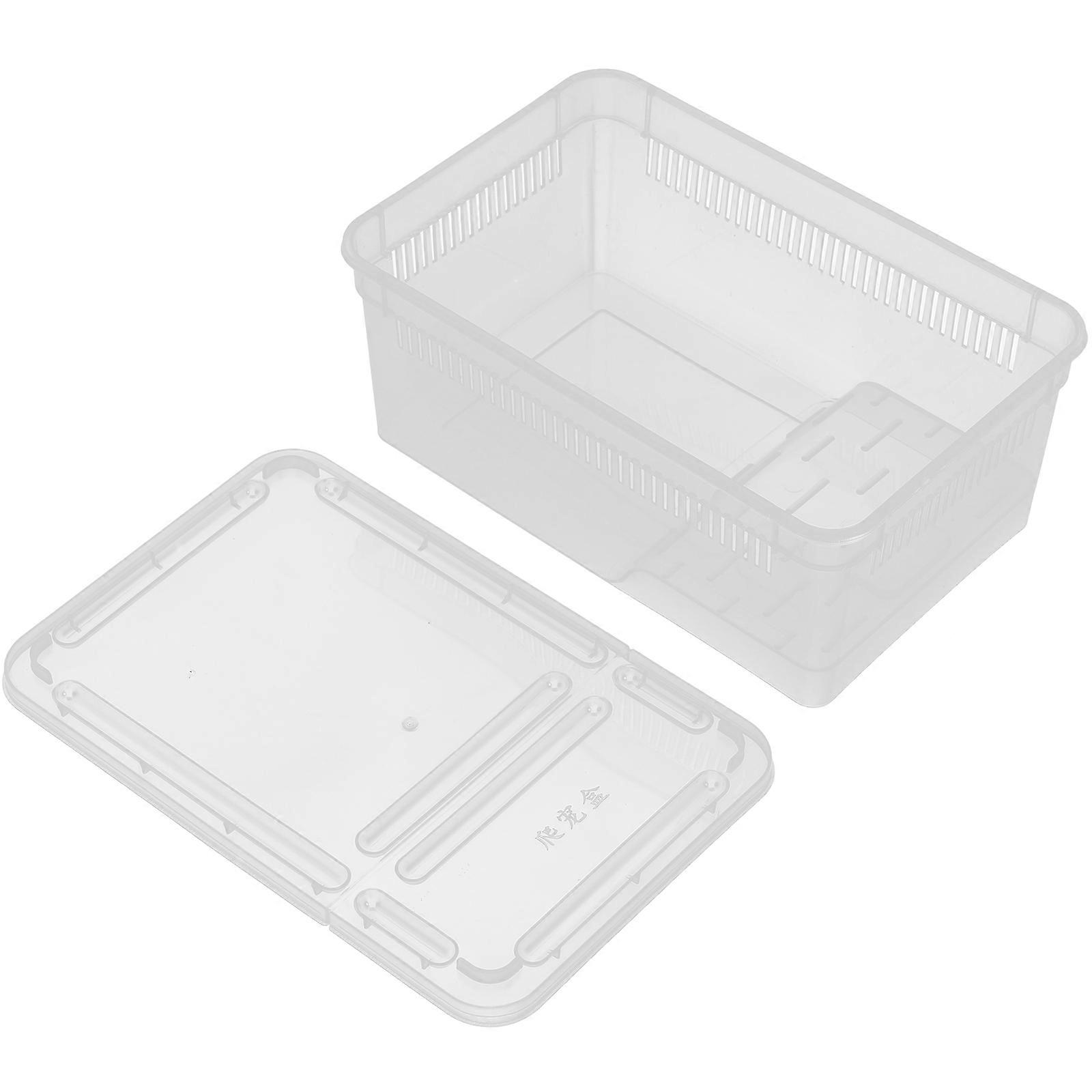 Terrarium Reptile Box Rectangular Plastic Reptile Breeding Box With Breathing Holes Easy to Clean For Educational Institutions 1Set