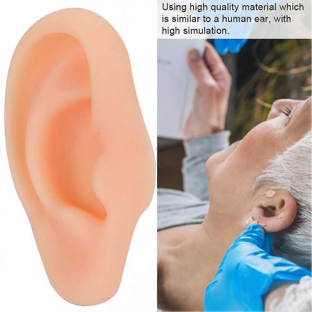 Professional Silicone Simulated Ear Model for Acupuncture Training