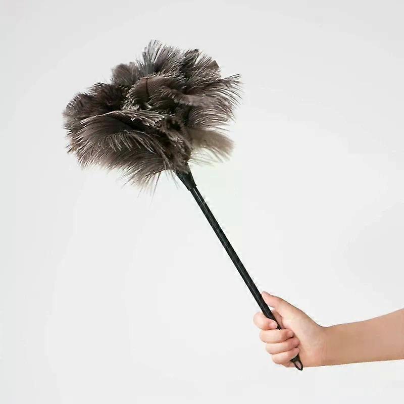 Ostrich Duster Cleaning Brush with Long Handle Computer Dust Removal for Home Bedroom Dormitory Keyboard for Gap Cleaner