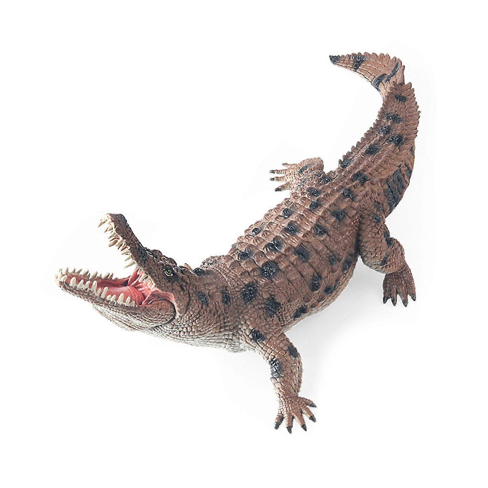 Realistic Alligator Model with Movable Jaw for STEM Learning and Classroom Display