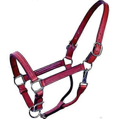 Beiler'S Beiler'S Track Halter, COB,Brown