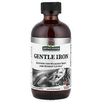 2 x Nature's Answer, hellävarainen rauta, luonnollinen marjasekoitus, 240 ml