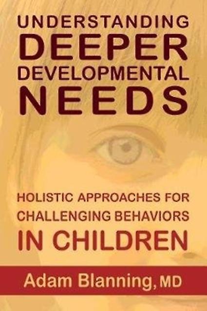 Understanding Deeper Developmental Needs by Adam Blanning Paperback