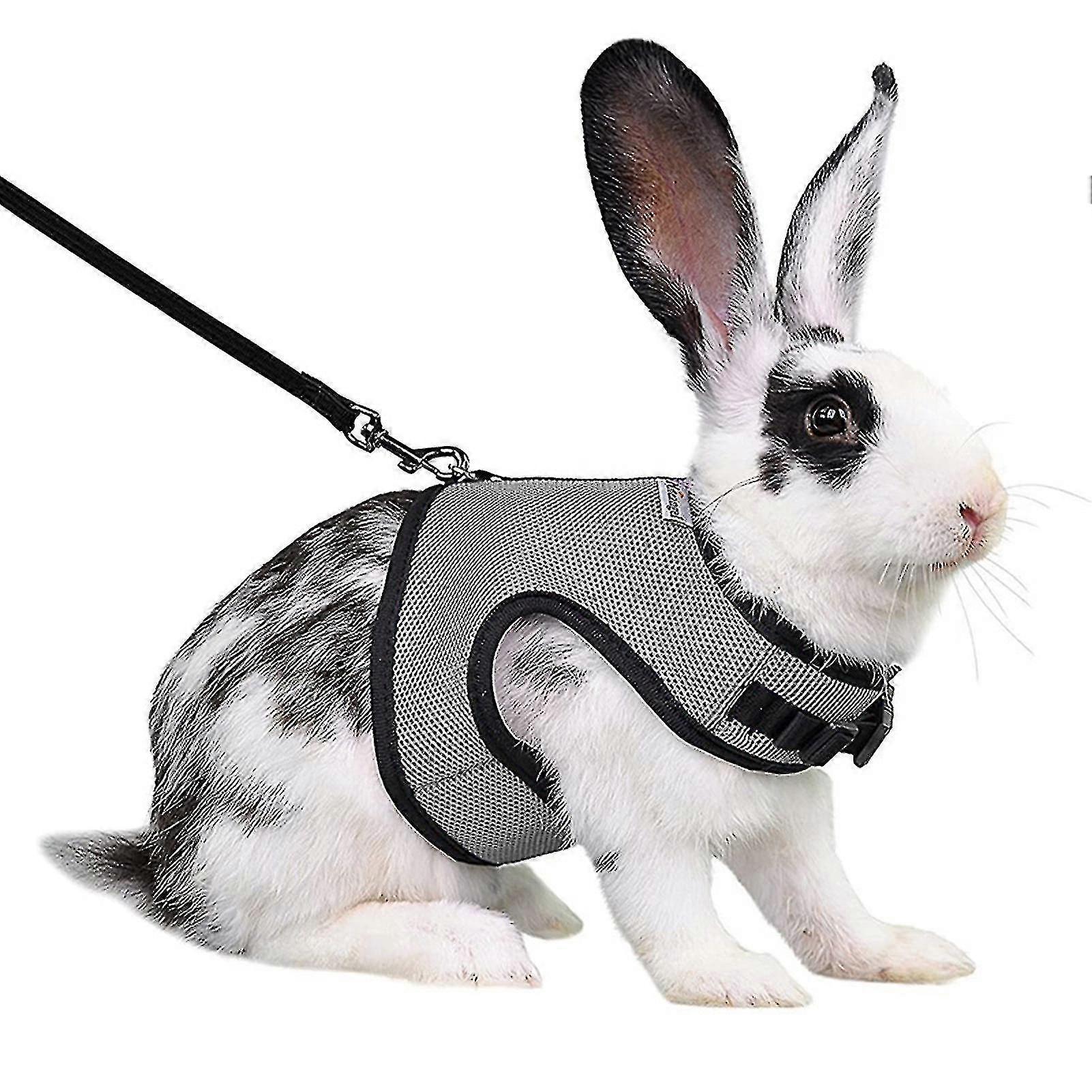 Harness Comfortable Adjustable Traction Tool Ferret Rats Soft Mesh Harness Leash Vest Set Pet