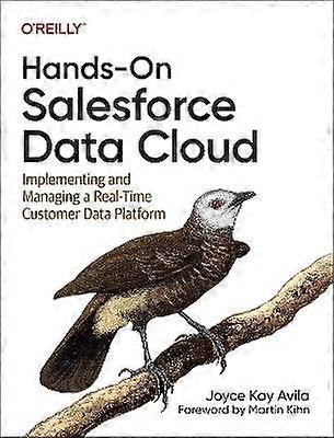 Gyakorlati Salesforce Data Cloud