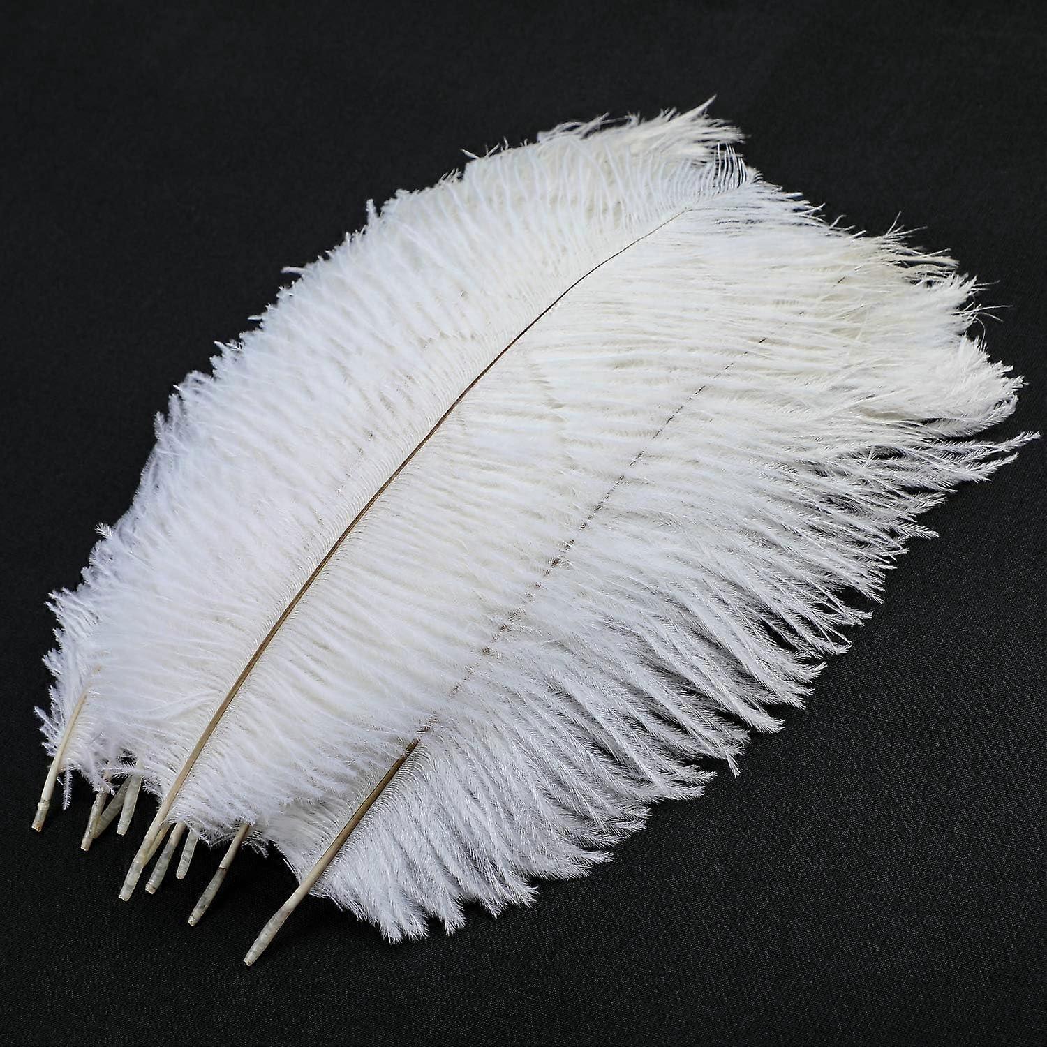 10 Pcs Natural Ostrich Feathers, Ostrich Feather Plume For Wedding