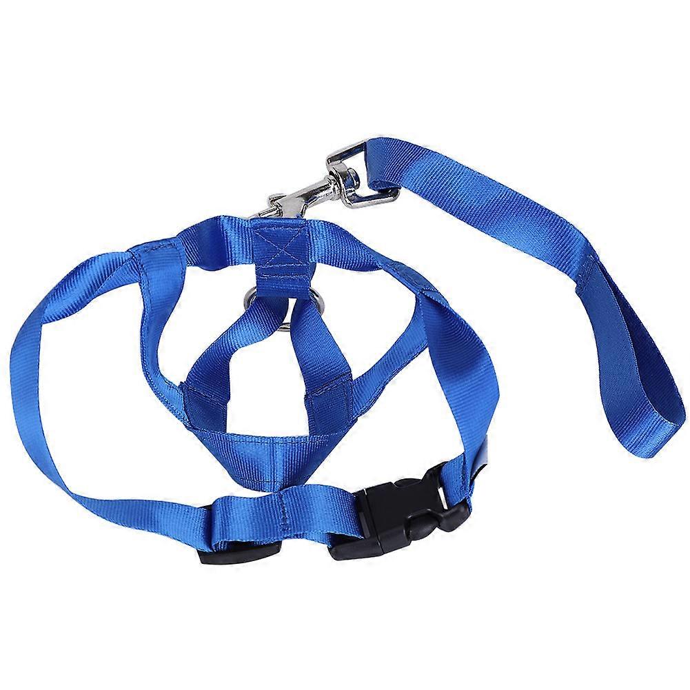 Pet Adjustable Dog Muzzle Nylon Mesh Mouth Mask, Anti-Chew Bark Bite, Size M For Medium Dogs