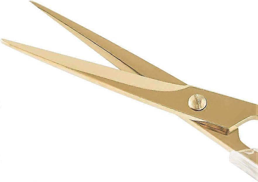Stainless Steel Precision Multipurpose Scissors