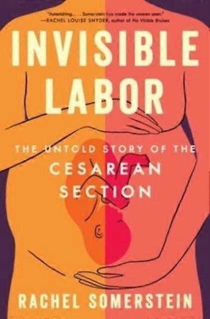 Invisible Labor by Rachel Somerstein Paperback
