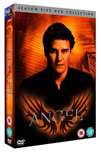 Angel Season 5 DVD (2006) David Boreanaz Whedon (DIR) cert 15 6 discs - Region 2