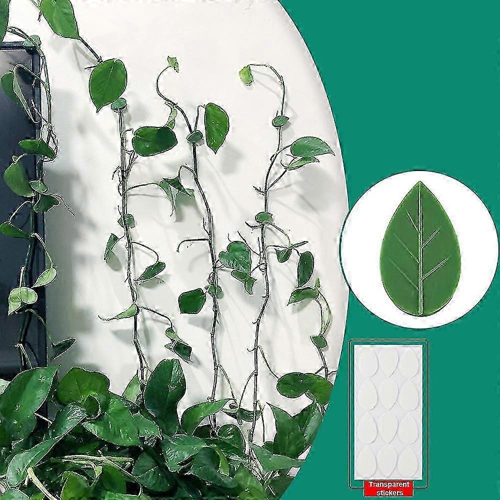 30個植物クライミングウォールフィクスチャクリップアクリル接着剤付きプラントフィクサー目に見えない壁つる固定クリップ粘着フック